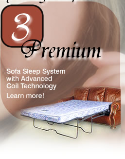 Premium Sofa Sleep System
